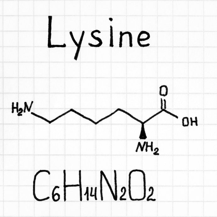 L Lysine benefits and Best Supplement in the UK