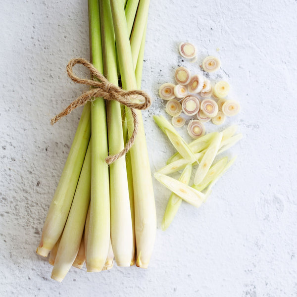 How to Use Lemongrass for Your Healthcare