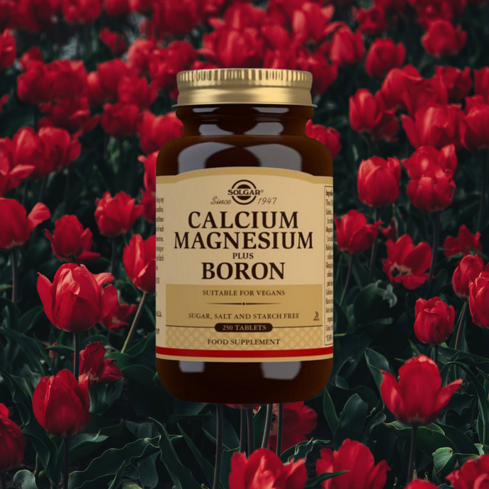 Best Magnesium Supplement in the UK