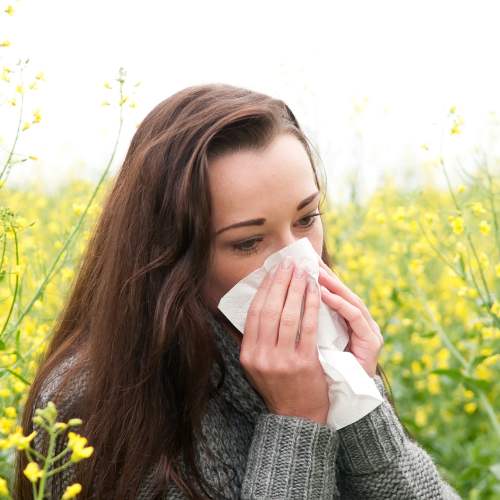 Over-the-Counter Hay Fever Tablets to Ease Your Allergies